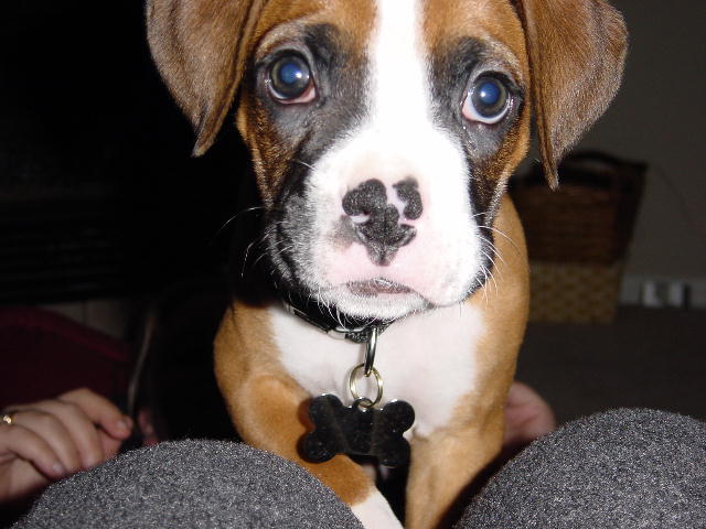 Sam Up Close and Personal