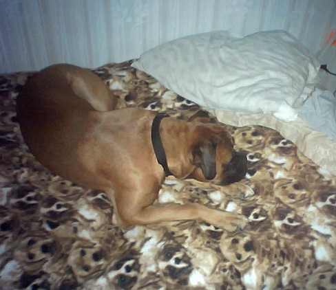 Sam_sleepy