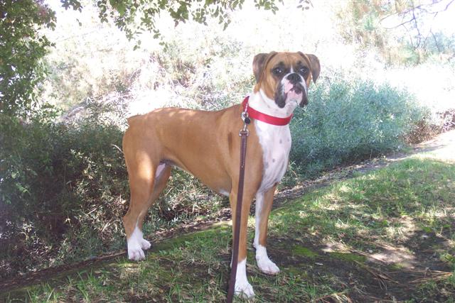 Samantha - 1 Year Old