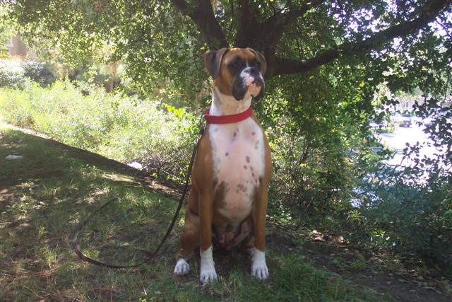 Samantha - 1 Year Old