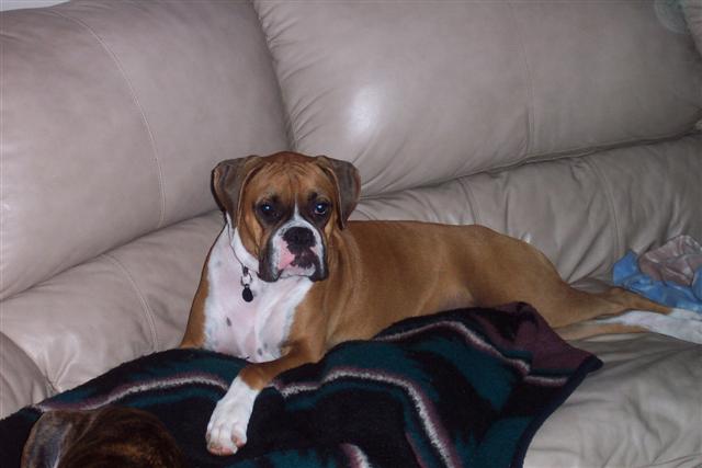 Samantha - 11 Month's Old