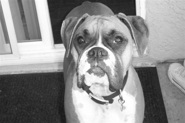 Samantha - 17 Month's Old