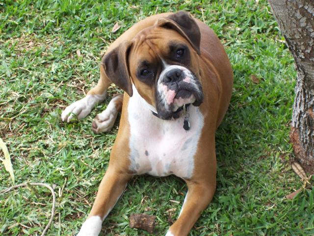 Samantha - 21 Month's Old