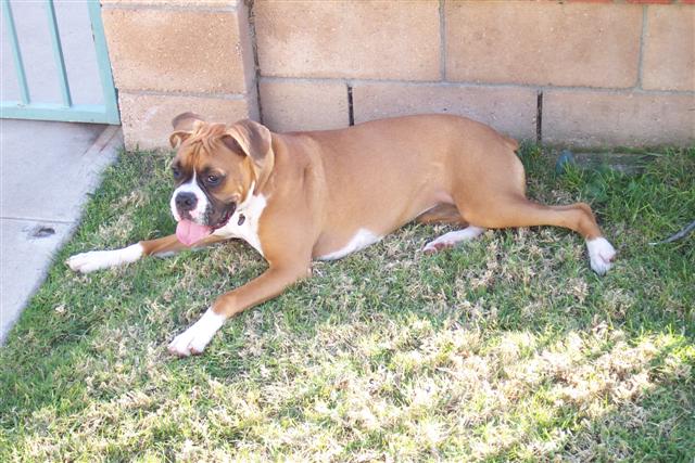 Samantha 6 1/2 month's old