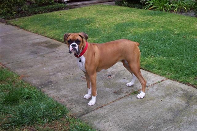 Samantha 9 Month's Old Today