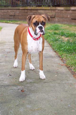 Samantha 9 Month's Old Today