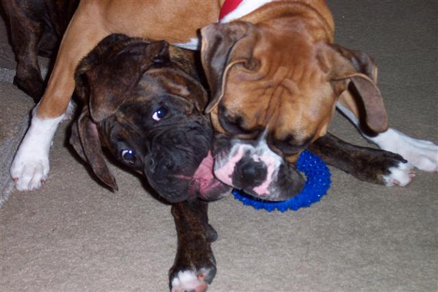 Samantha and Syd