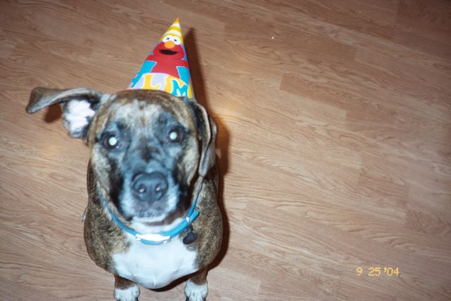 Samantha in Elmo party hat!!