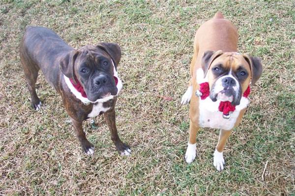 Samantha & Syd 2006