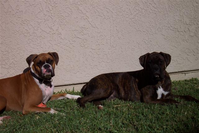 Samantha & Syd