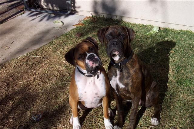 Samantha & Syd