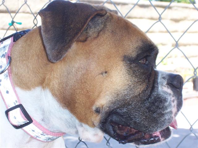 Samantha