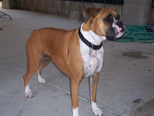 Samantha_3_Years_11_Months_Old
