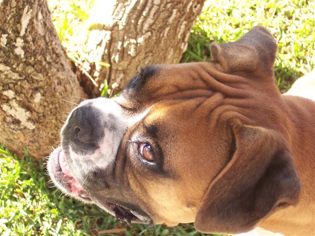 Samantha_3_Years_4_Months_Old