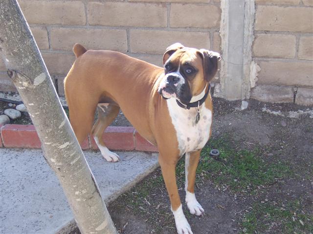 Samantha_3_Years_7_Months_Old