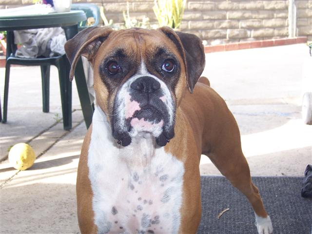 Samantha_3_Years_8_Months_Old