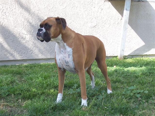Samantha_3_Years_9_Months_Old
