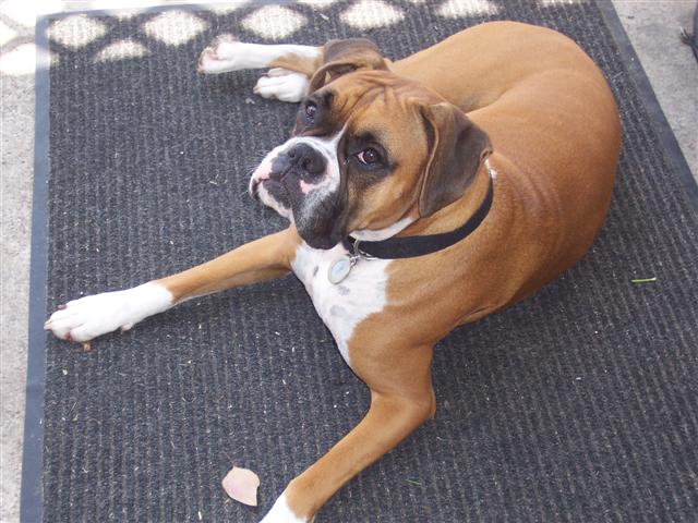 Samantha_3_Years_Old