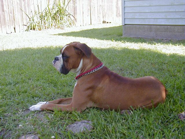 Sammi 12 months