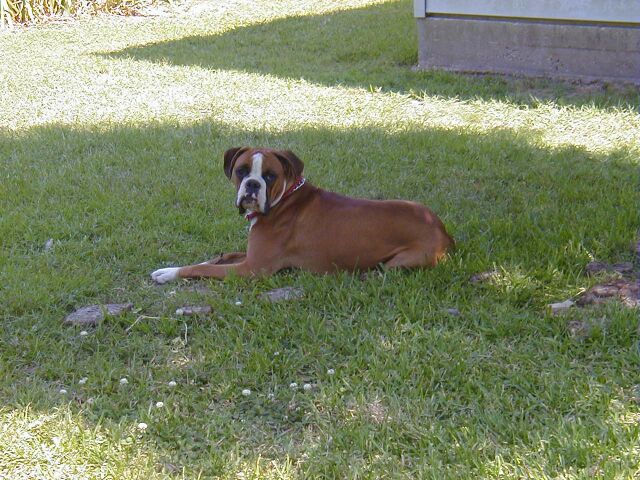 Sammi 12 months