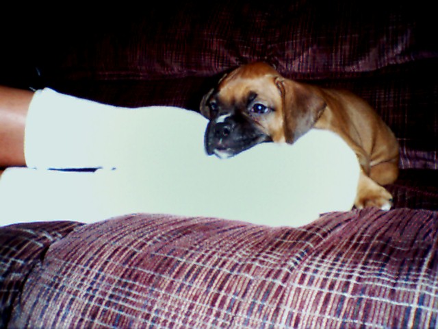 Sammi as a baby