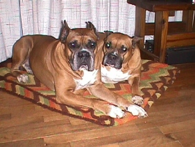Sammie and Sassie