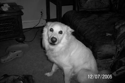 Sammie