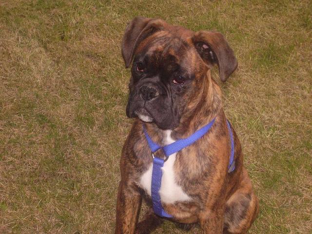 Sammy age 6mths