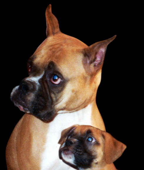 sammy and her mom