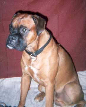 Sammy3