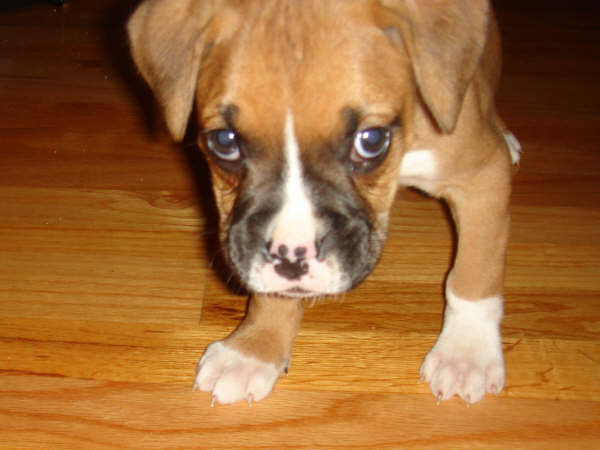 SammyBaby