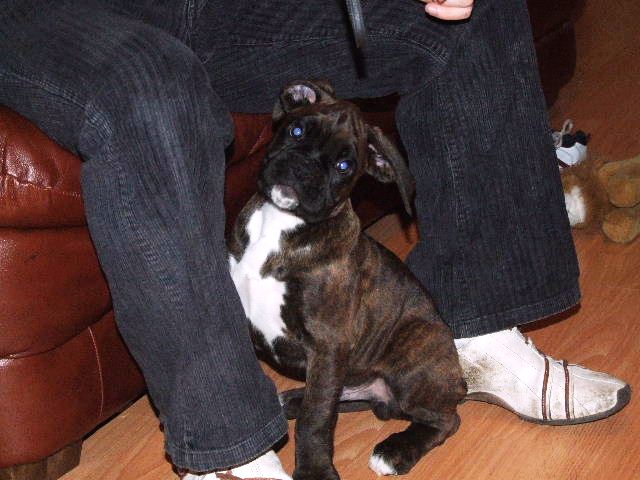 Sampson 9 weeks 2