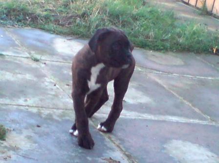 Sampson out playing