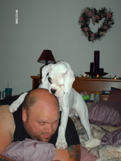 Sampson playing with Daddy