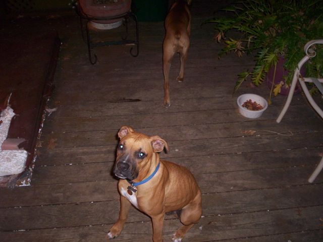 Sampson