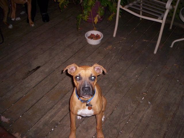 sampson3