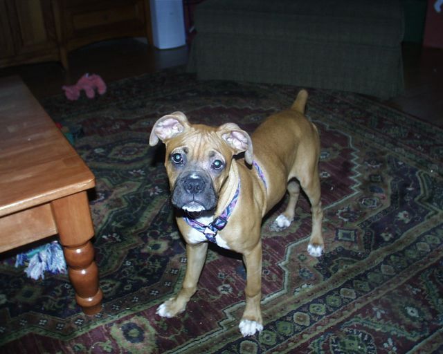 Sampson5months