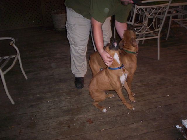 sampson_and_buster2