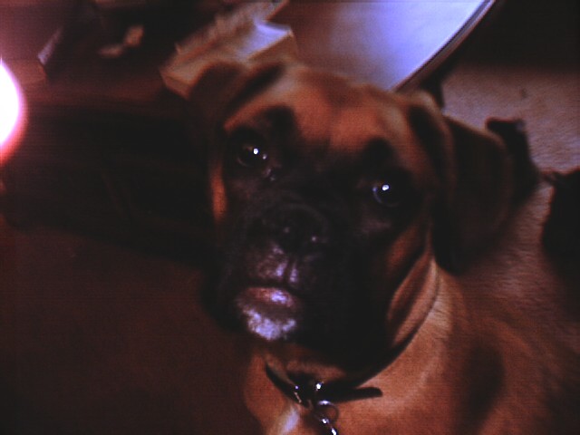 Sam's closeup