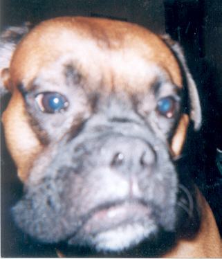Sam's closeup