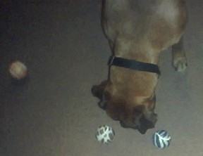 Sam's new toys