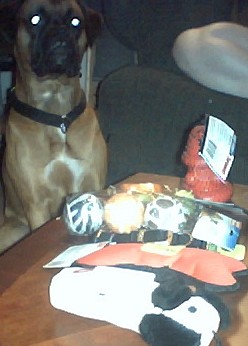 Sam's presents