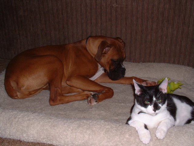Samson & Alex