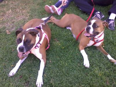 Samson and Rylei