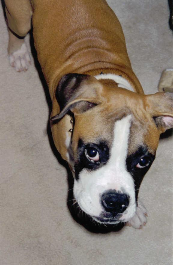 Samson at 3 1/2 months