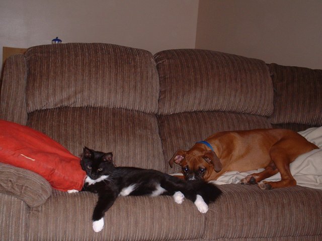 Samson & Chloe