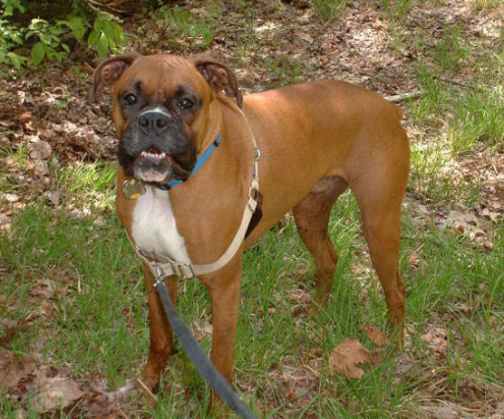Samson Hiking