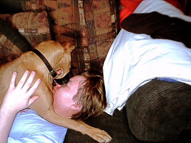 Samson in a licking fest