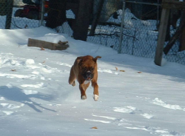 Samson In The Air