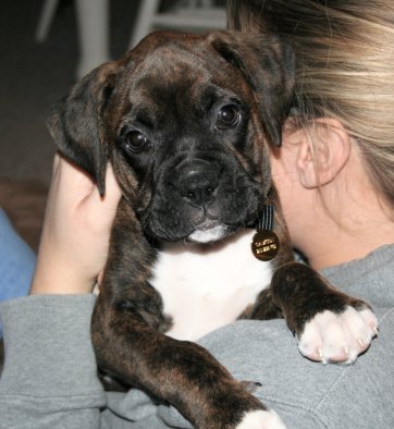 Samson loves to snuggle